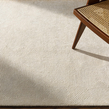 Addison ADD-2304 Handmade Rug