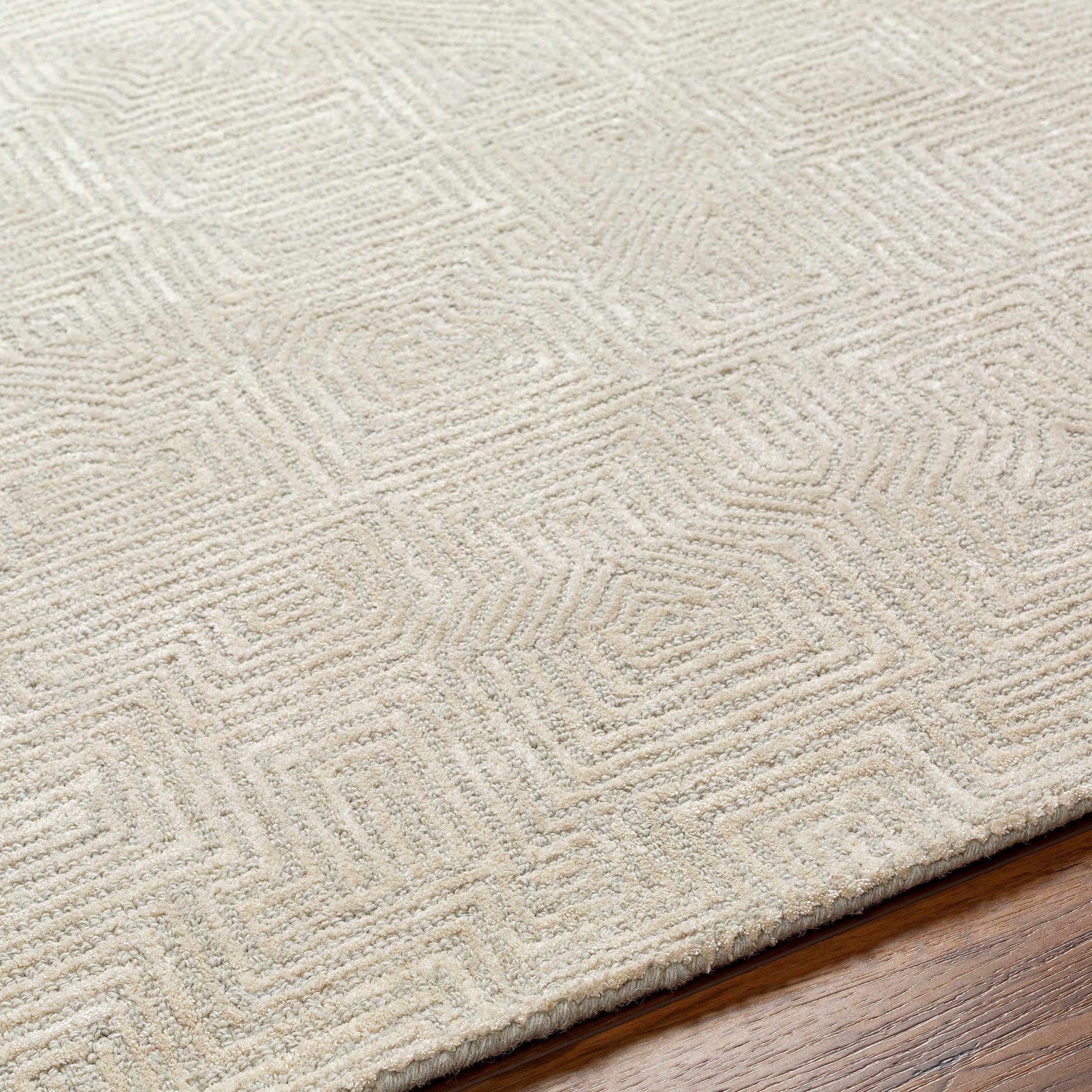 Addison ADD-2304 Handmade Rug