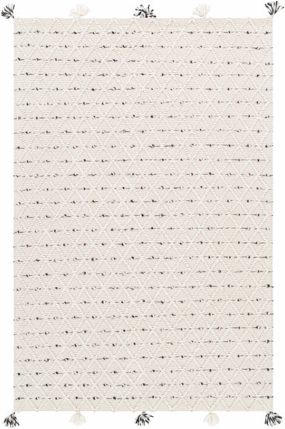 Ivory Hand Woven 100% Recycled PET Yarn Global Rectangle Handmade rug, Indoor use only, has fringe, non-washable. runner also available