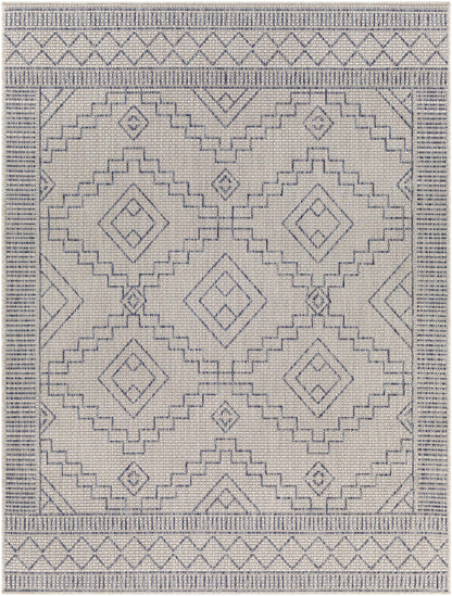 Tuareg TRG-2356 Machine Woven Rug