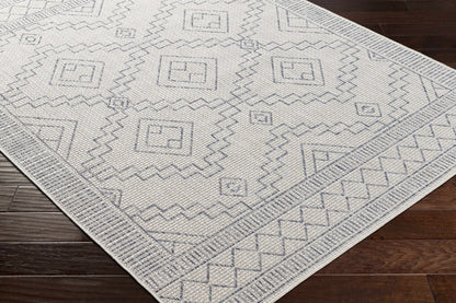 Tuareg TRG-2356 Machine Woven Rug