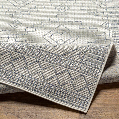 Tuareg TRG-2356 Machine Woven Rug
