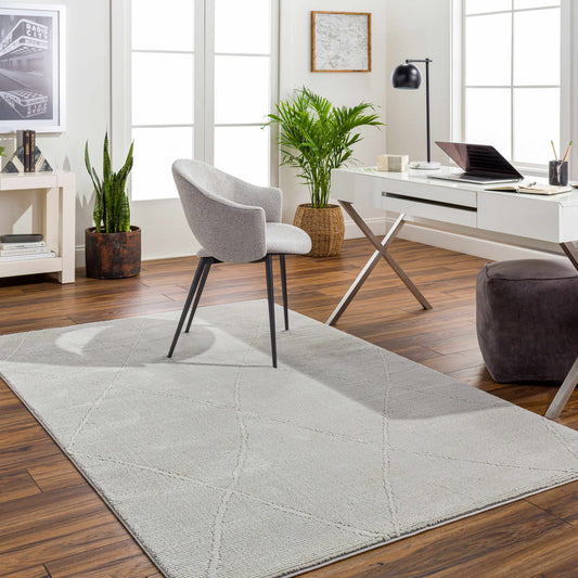 Alder ALD-2303 Machine Woven Rug