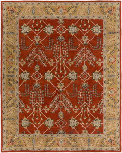 Middleton AWMD-2244 Hand Tufted Rug