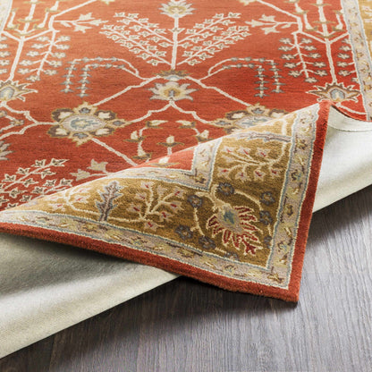 Middleton AWMD-2244 Hand Tufted Rug