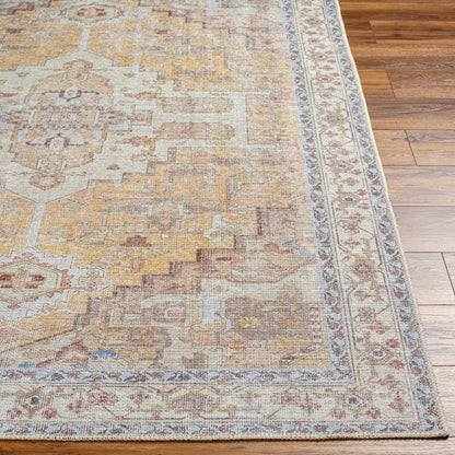 Amelie AML-2373 Machine Woven Rug