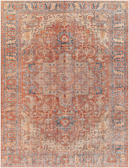 Amelie AML-2334 Machine Woven Rug