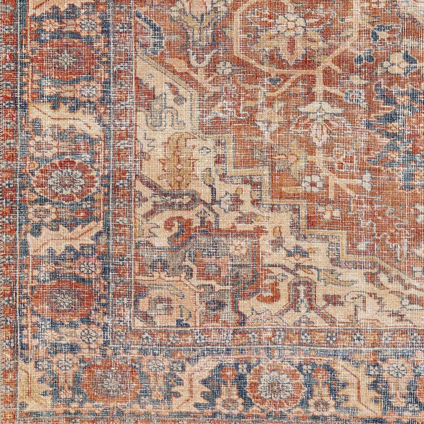 Amelie AML-2334 Machine Woven Rug