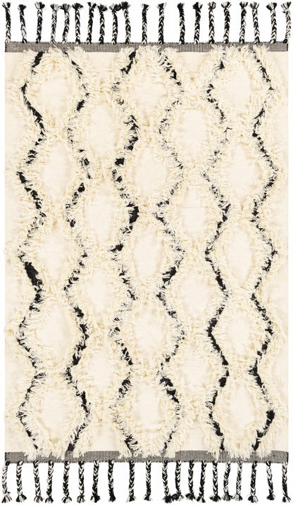 Apache APA-2300 Hand Woven Rug