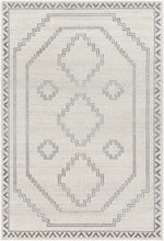 Alpharetta APH-2306 Machine Woven Rug