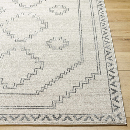 Alpharetta APH-2306 Machine Woven Rug