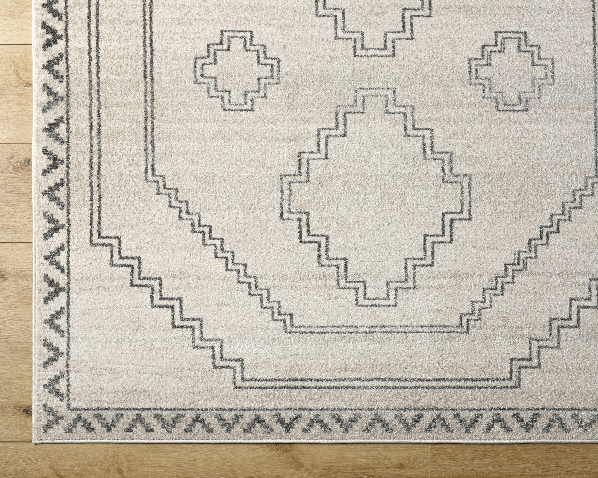 Alpharetta APH-2306 Machine Woven Rug