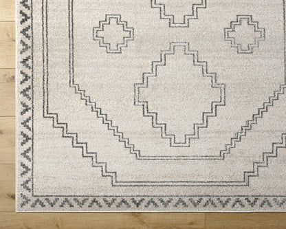 Alpharetta APH-2306 Machine Woven Rug