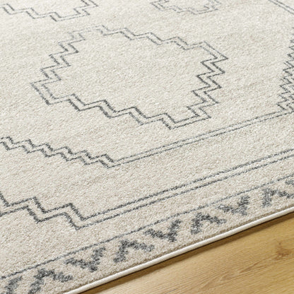 Alpharetta APH-2306 Machine Woven Rug