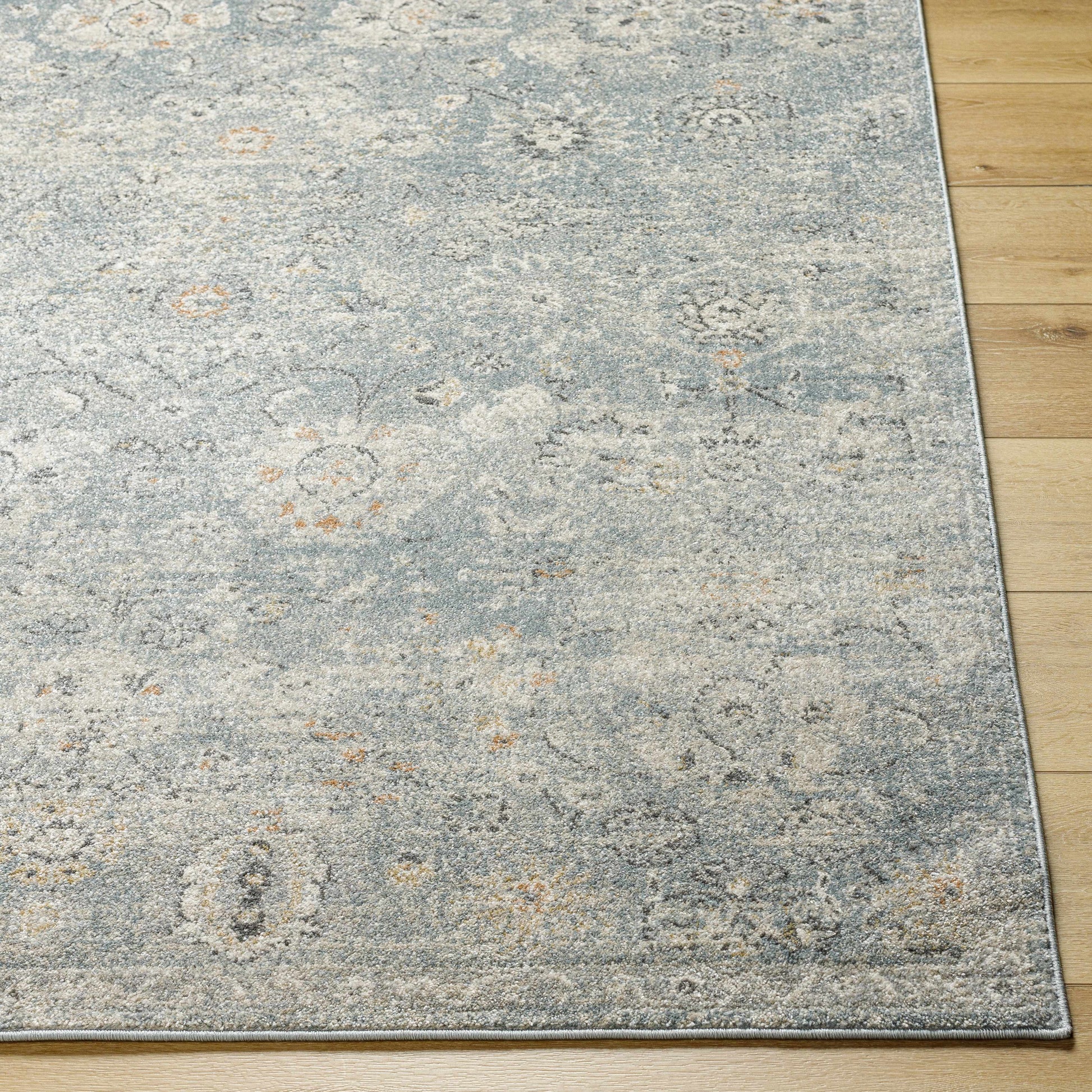 Alpharetta APH-2319 Machine Woven Rug