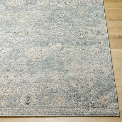 Alpharetta APH-2319 Machine Woven Rug