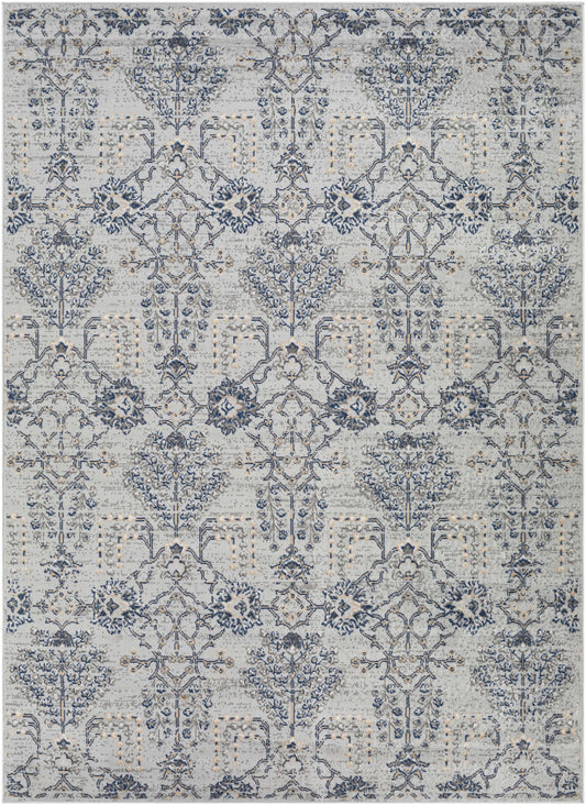 Cesar CEG-2329 Machine Woven Rug