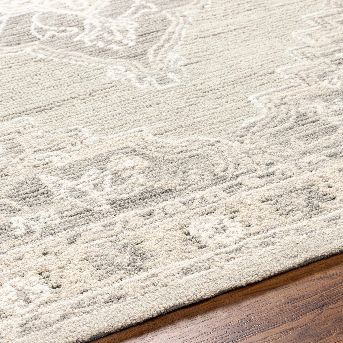 Addyson AYO-2303 Hand Tufted Rug