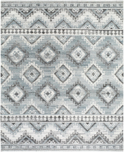 Alyssa AYS-2304 Hand Woven Rug