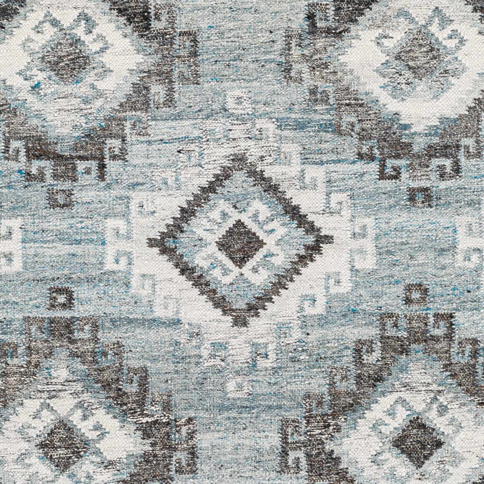 Alyssa AYS-2304 Hand Woven Rug