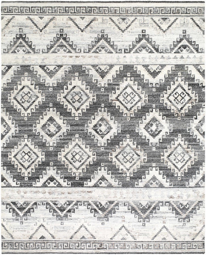 Alyssa AYS-2302 Hand Woven Rug