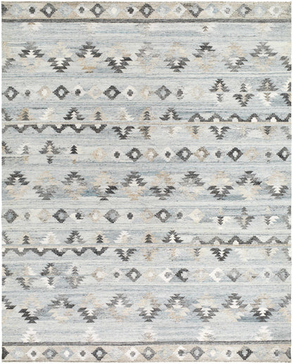 Alyssa AYS-2303 Hand Woven Rug