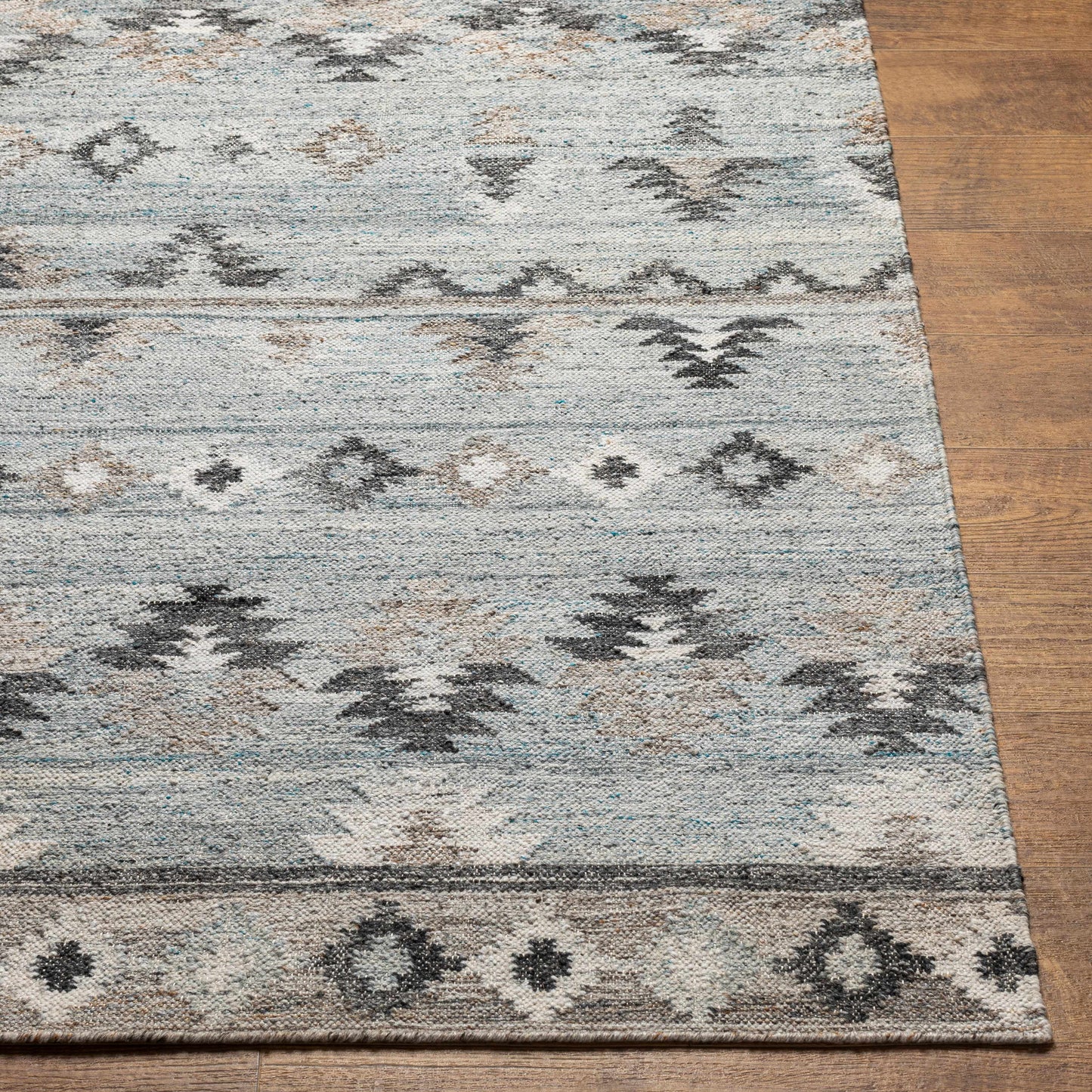 Alyssa AYS-2303 Hand Woven Rug