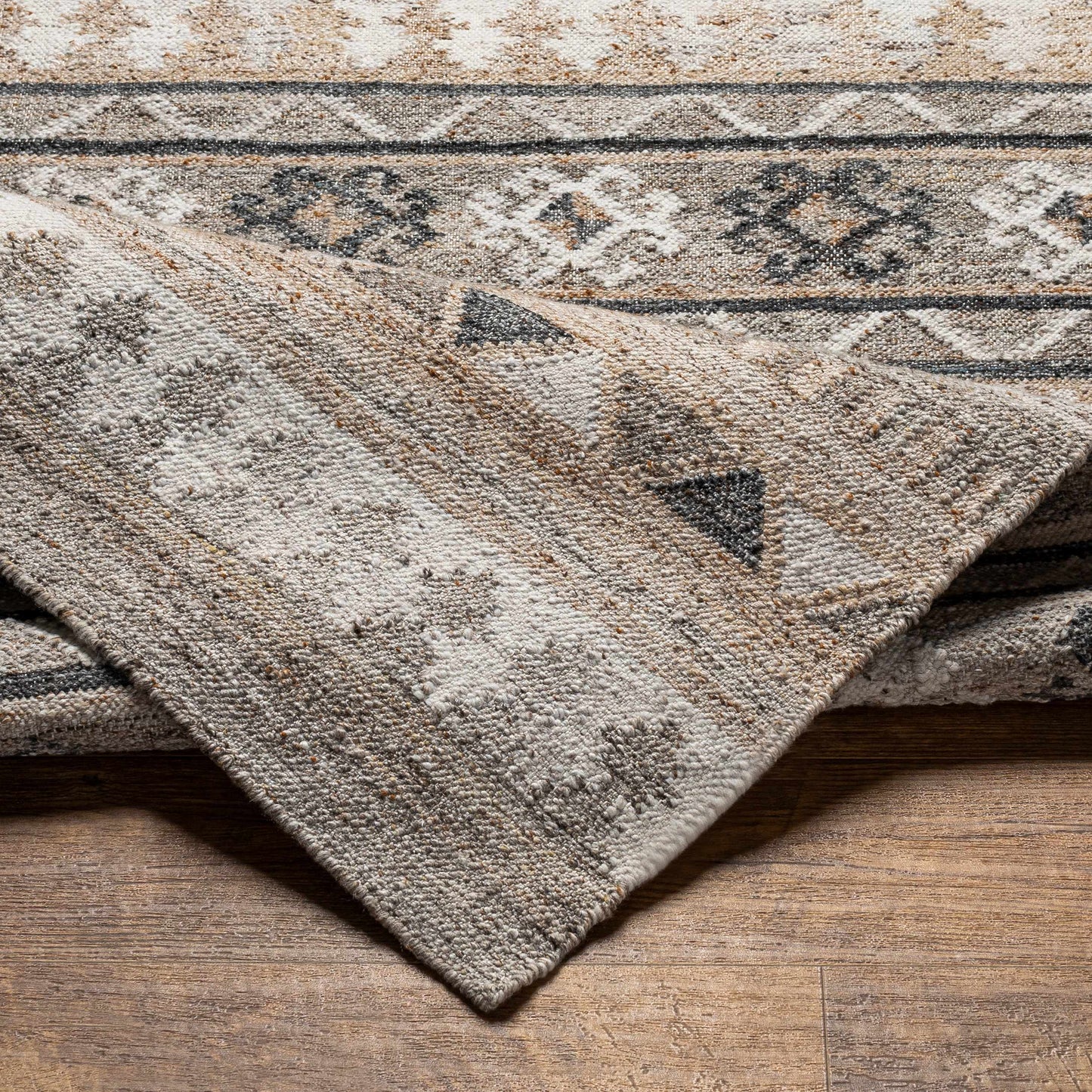Alyssa AYS-2301 Hand Woven Rug