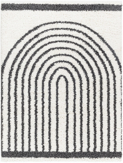 Birmingham BMM-2312 Machine Woven Rug