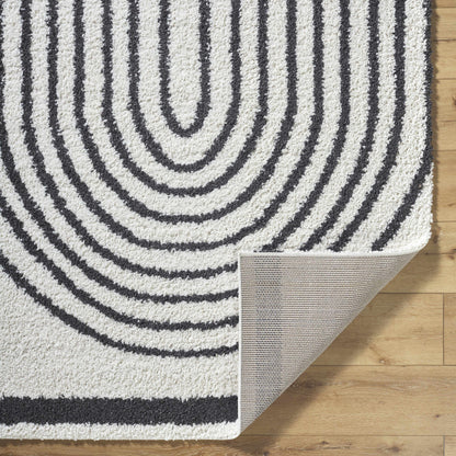 Birmingham BMM-2312 Machine Woven Rug