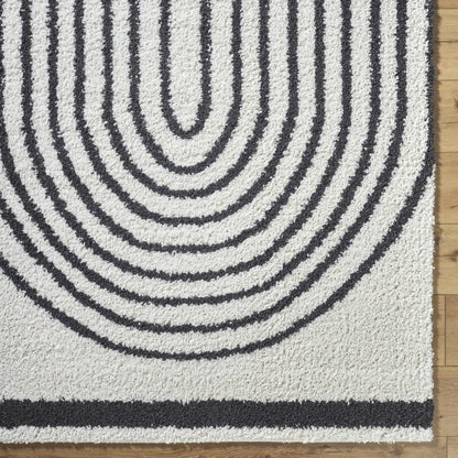 Birmingham BMM-2312 Machine Woven Rug