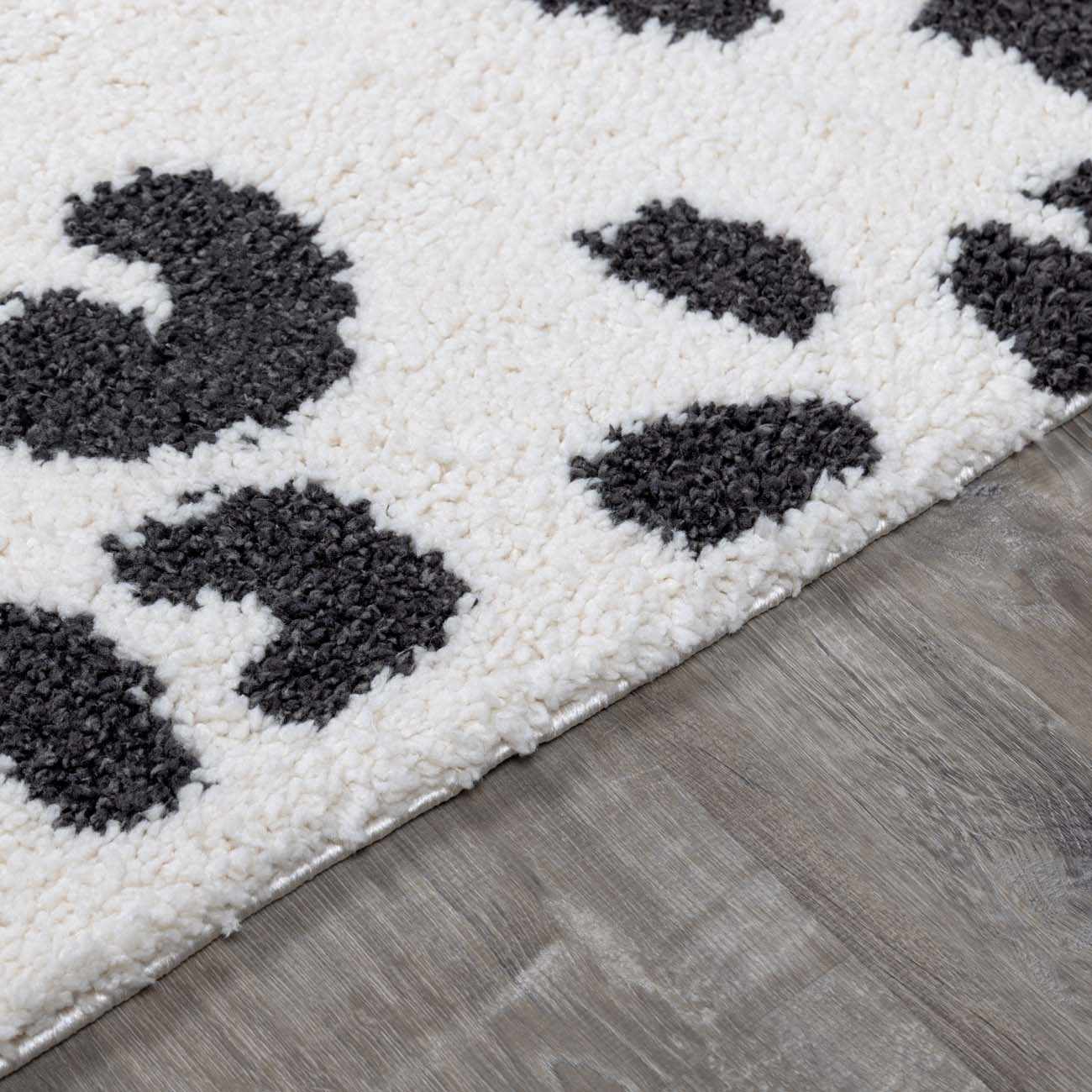 Birmingham BMM-2307 Machine Woven Rug