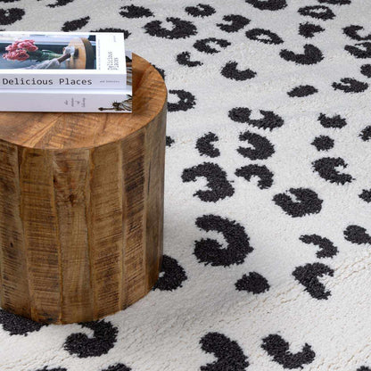 Birmingham BMM-2307 Machine Woven Rug