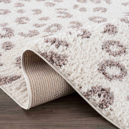 Birmingham BMM-2308 Machine Woven Rug
