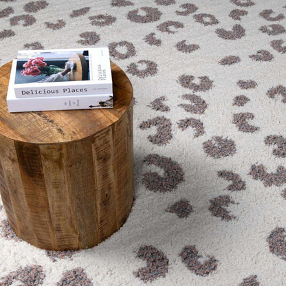 Birmingham BMM-2308 Machine Woven Rug