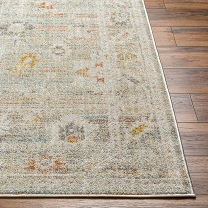 Bitlis BSI-2302 Machine Woven Rug
