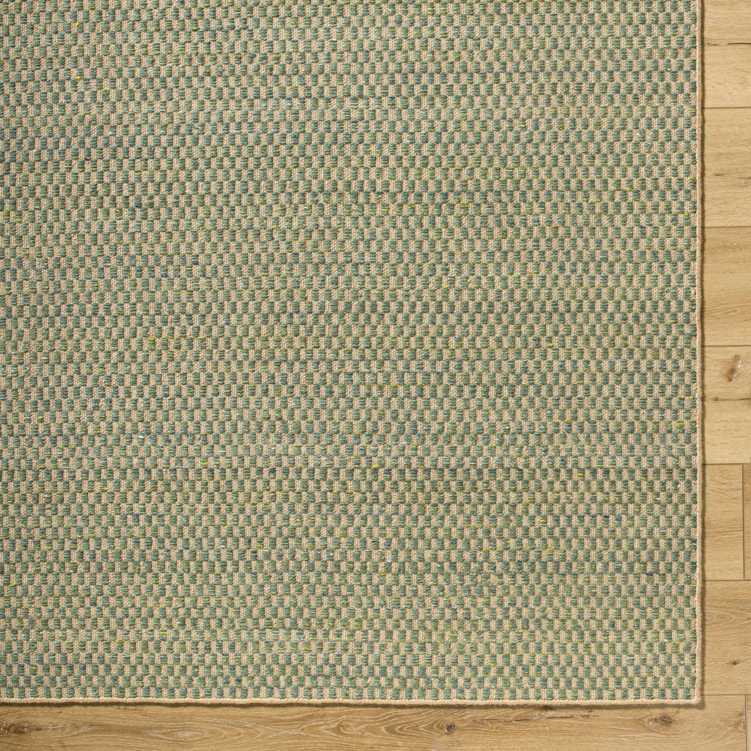 Rugs : BTO-2303