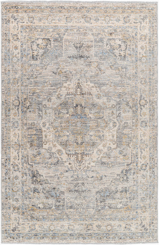 Chicago CHG-2317 Machine Woven Rug