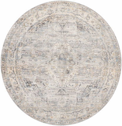 Chicago CHG-2317 Machine Woven Rug