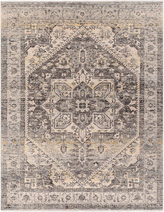 Chicago CHG-2316 Machine Woven Rug