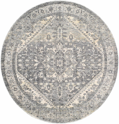 Chicago CHG-2316 Machine Woven Rug