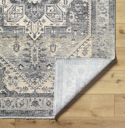 Chicago CHG-2316 Machine Woven Rug
