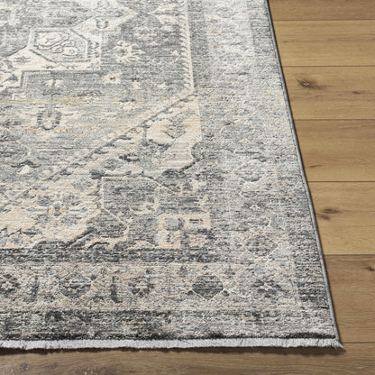 Chicago CHG-2316 Machine Woven Rug