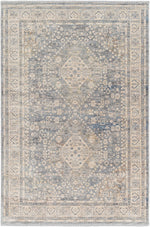 Chicago CHG-2318 Machine Woven Rug