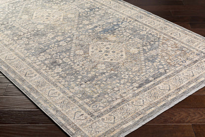Chicago CHG-2318 Machine Woven Rug