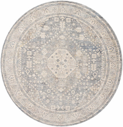 Chicago CHG-2318 Machine Woven Rug