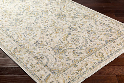 Chicago CHG-2300 Machine Woven Rug