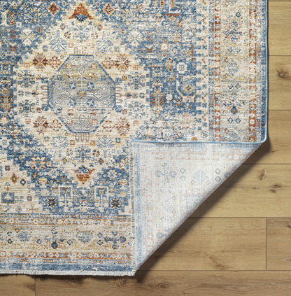 Chicago CHG-2309 Machine Woven Rug