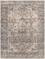 Chicago CHG-2312 Machine Woven Rug
