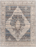 Chicago CHG-2314 Machine Woven Rug
